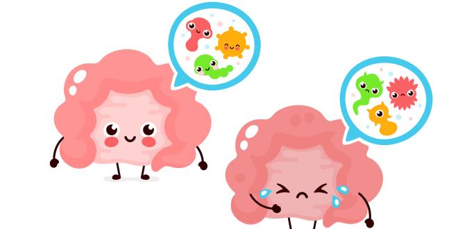 cartoons of a happy intestine and a sad one